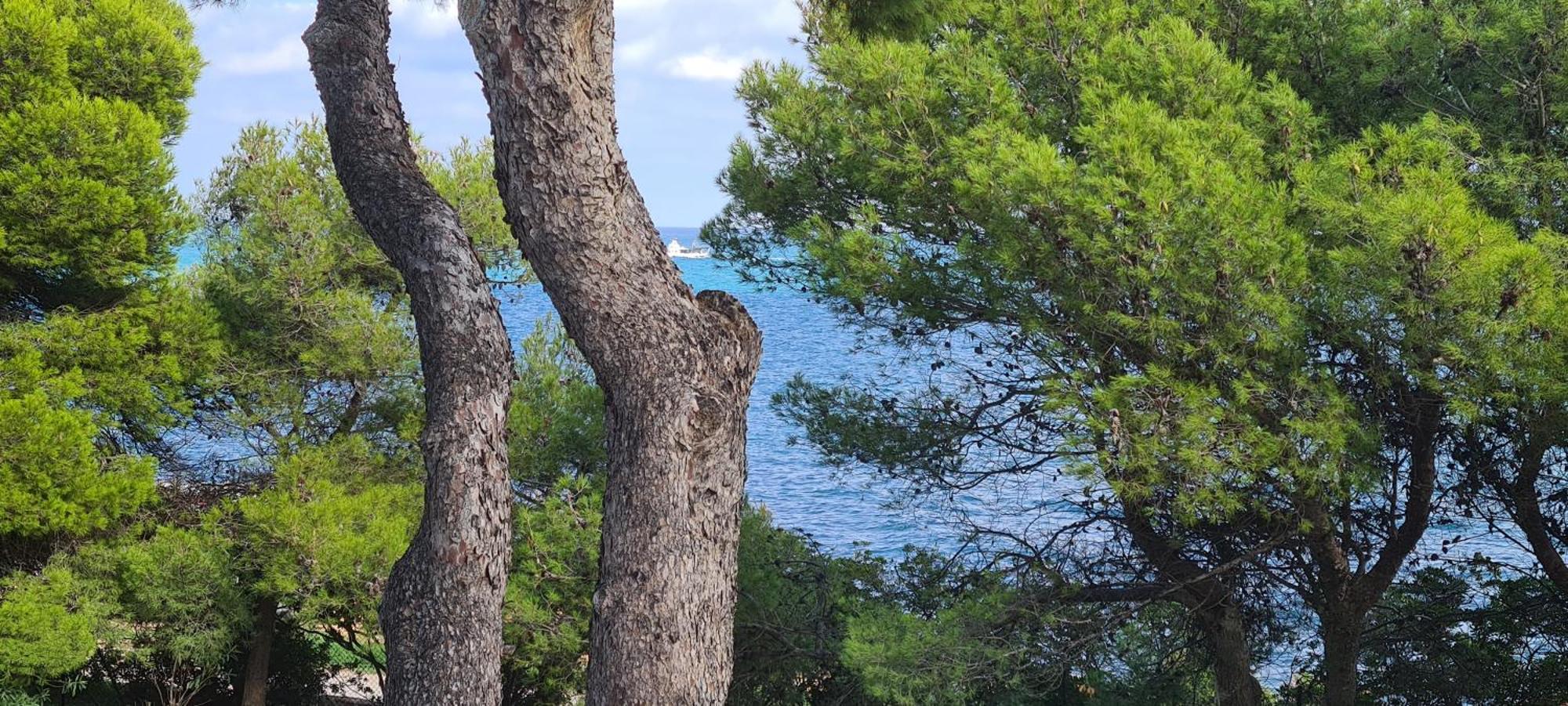 Puerto Azul 1 Apartment Peñíscola Екстериор снимка